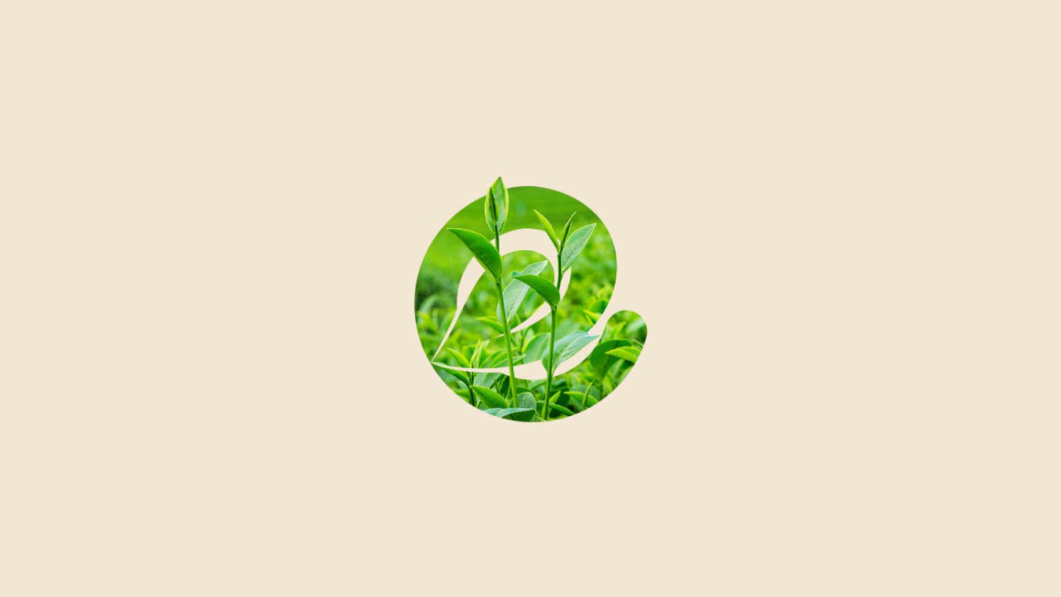 Earthy Origins Logo